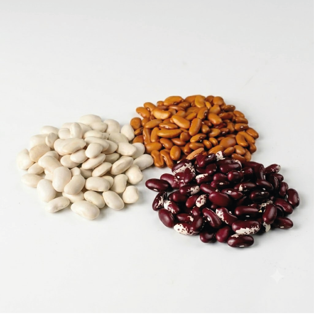 Arroz, legumbres y pastas